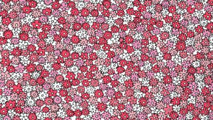¿Pueden encontrar 5 estrellas entre las flores en este reto visual?