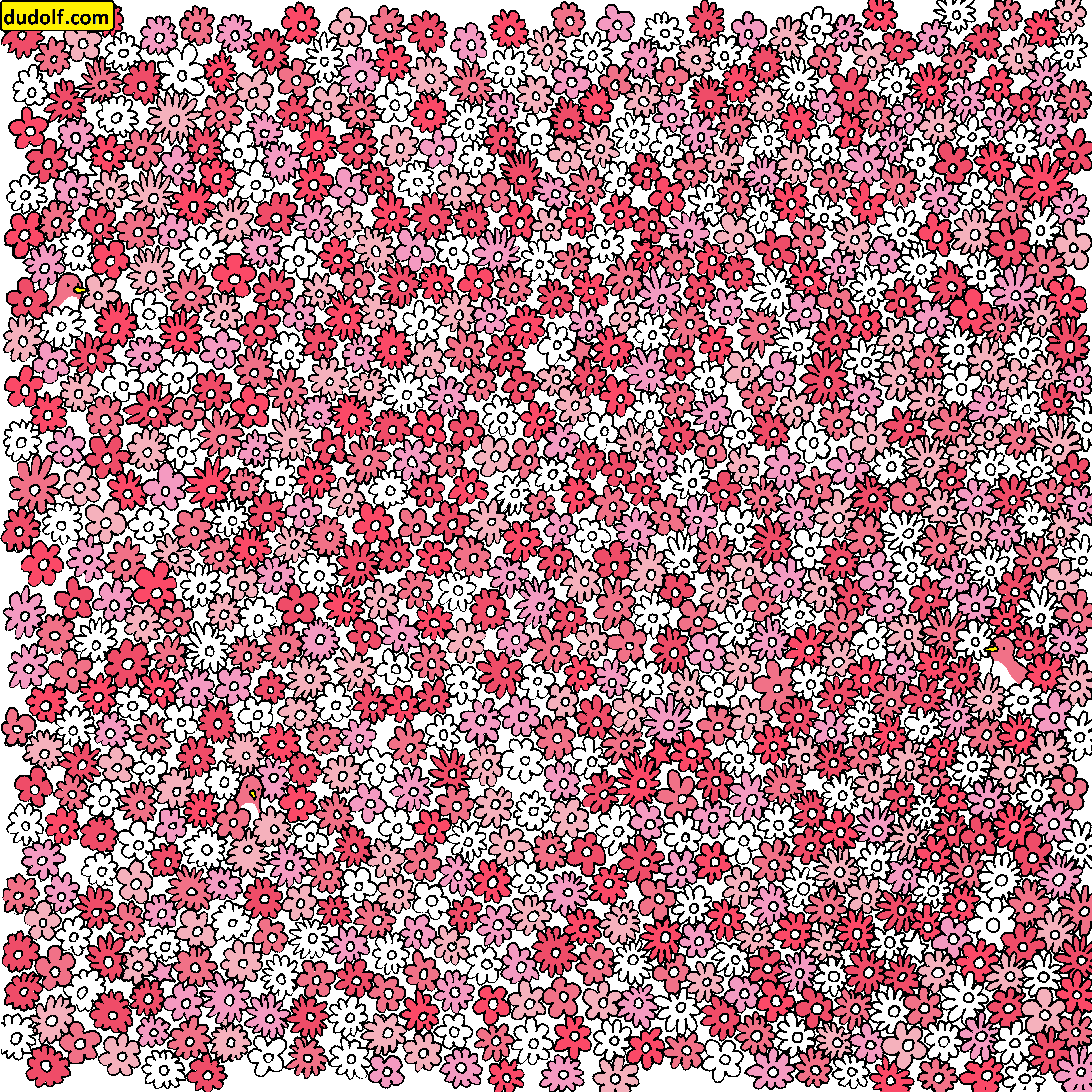 ¿Pueden encontrar 5 estrellas entre las flores en este reto visual?