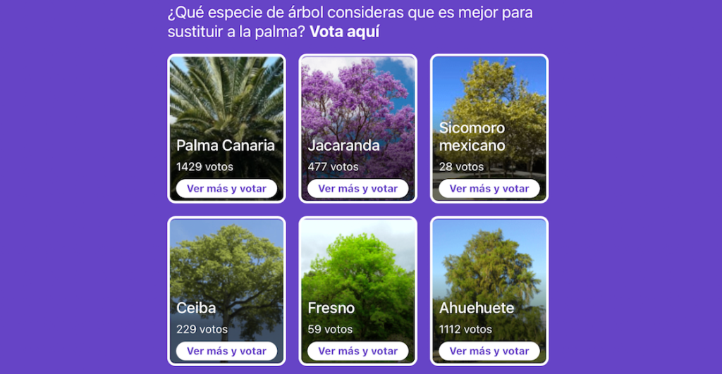 votacion-arbol-votar-pagina-web-sitio-arbol-sustituir-palma-glorieta-reforma-cdmx