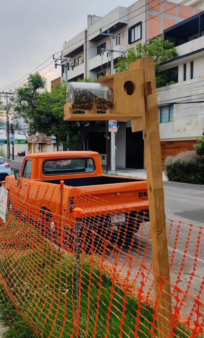 denuncia-tala-vecinos