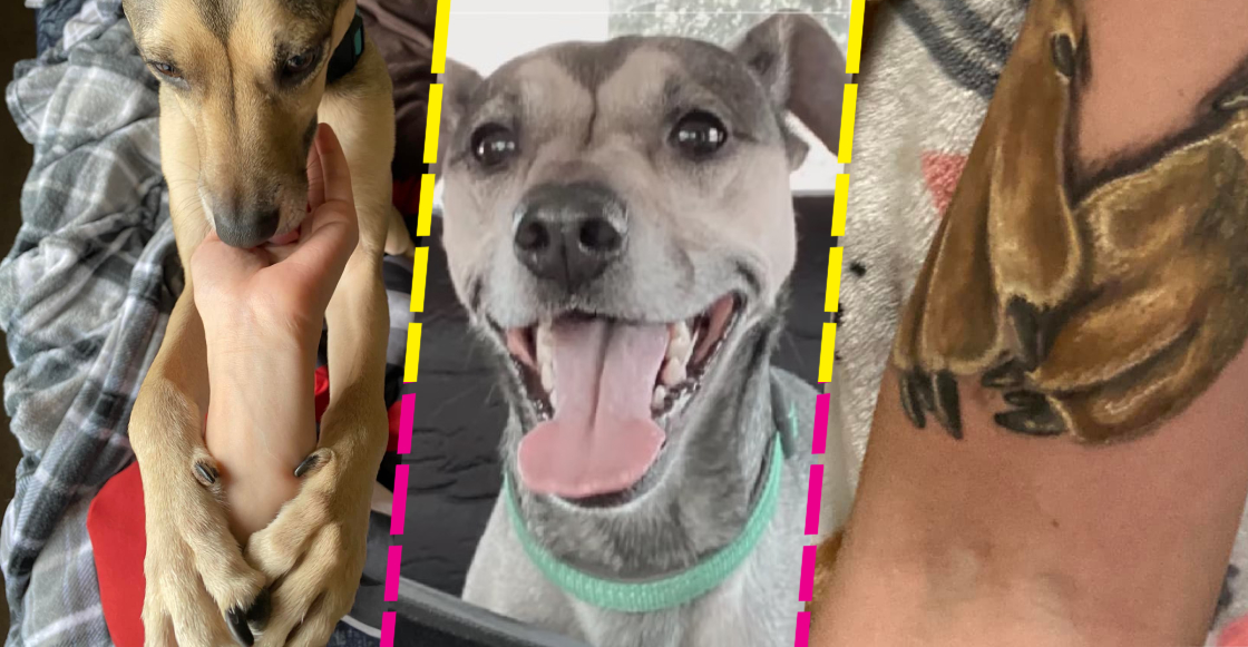 El conmovedor tatuaje de una joven en honor a su perrito fallecido