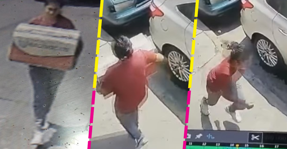 Denuncian a mujer que provocó la muerte de ocho perritos al abandonarlos en una caja