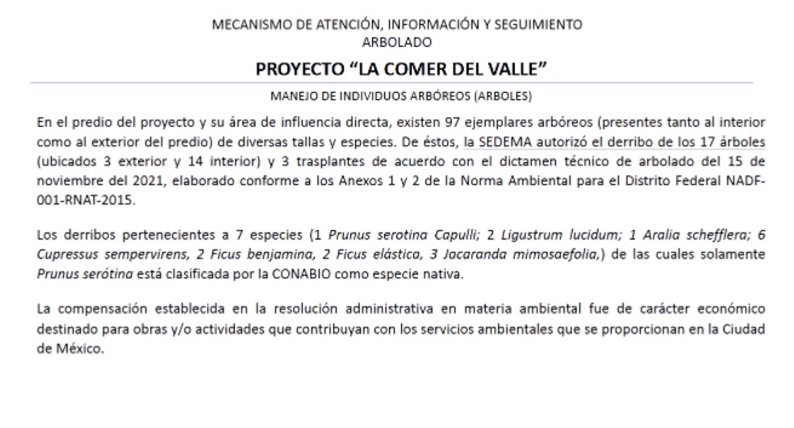 tala-arboles-benito-juarez-vecinos