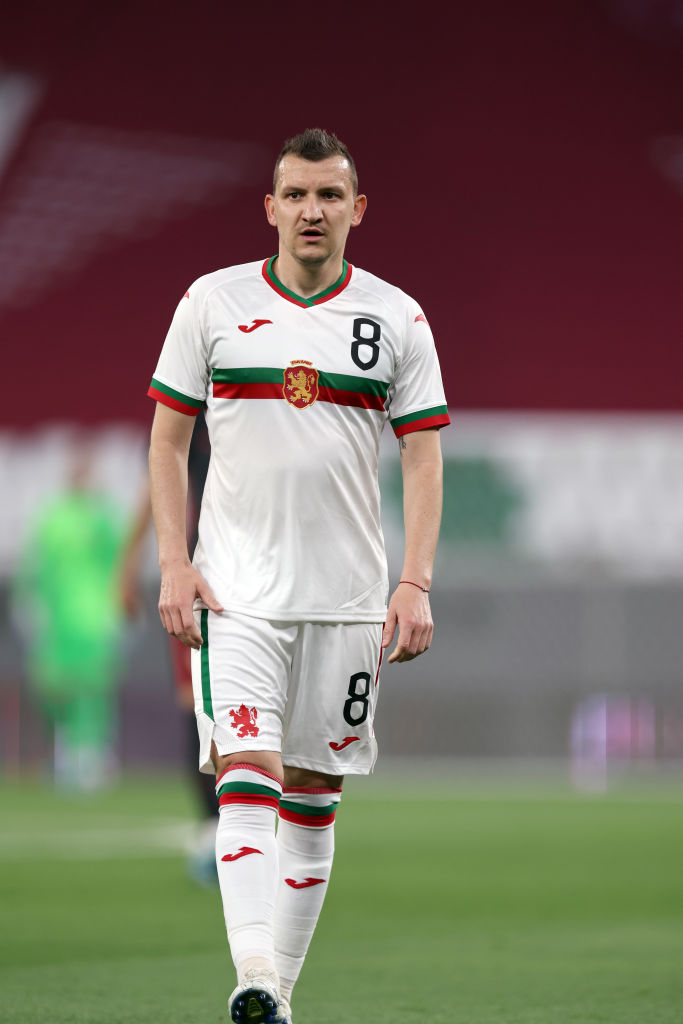 Todor Nedelev, Bulgaria accidente