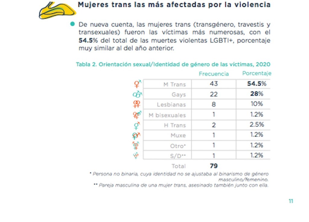 camila-bolocco-activista-trans-chile