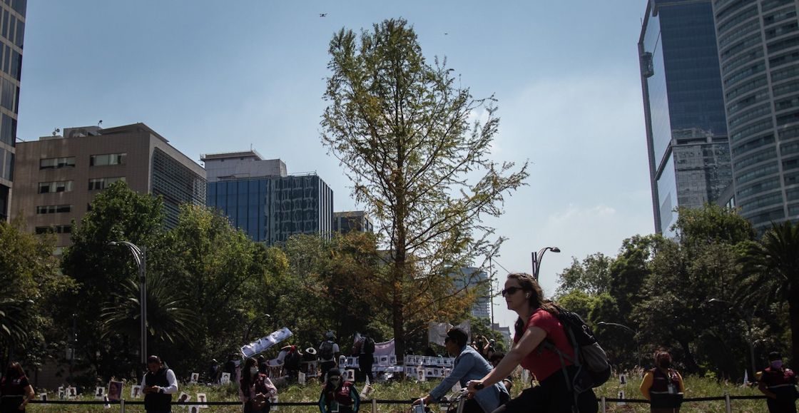glorieta-ahuehuete-desaparecidos-ciudad-mexico