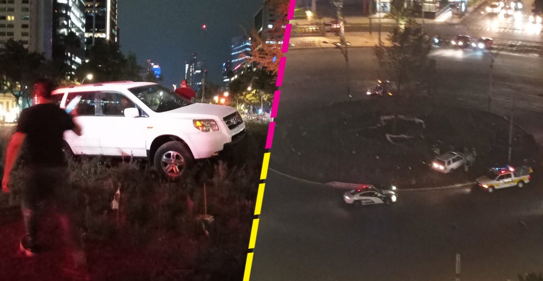 glorieta-desaparecidos-cdmx-ahuehuete