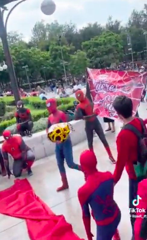 Joven disfrazado de Spider-Man pide matrimonio a su novia y se hace viral