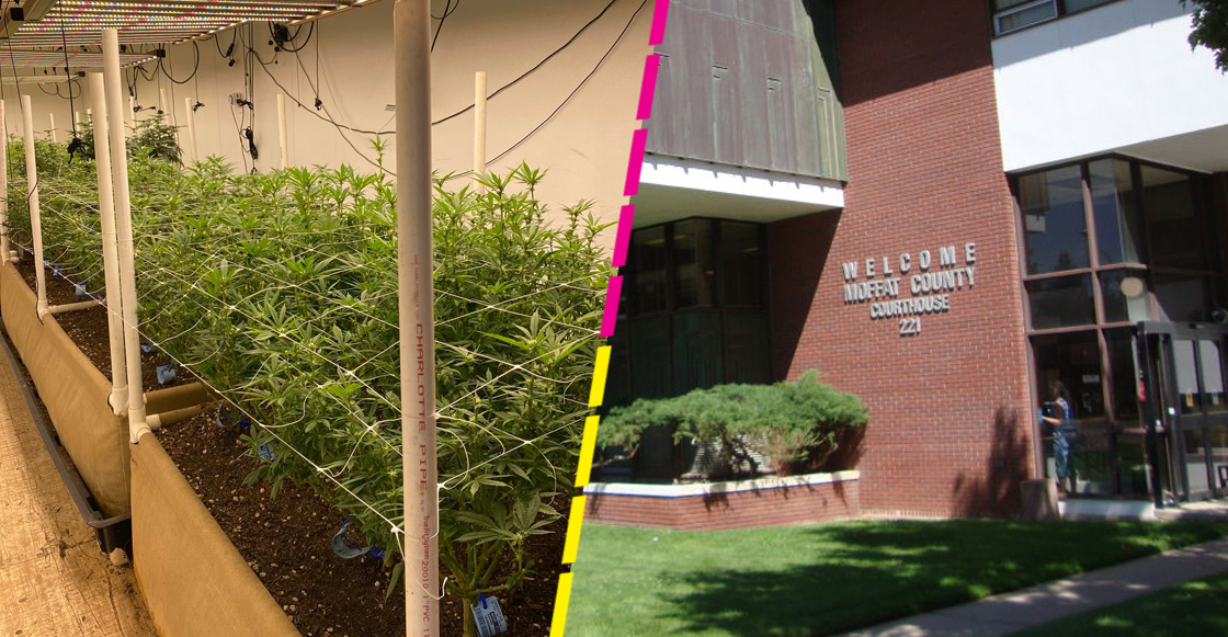 marihuana-moffat-estados-unidos