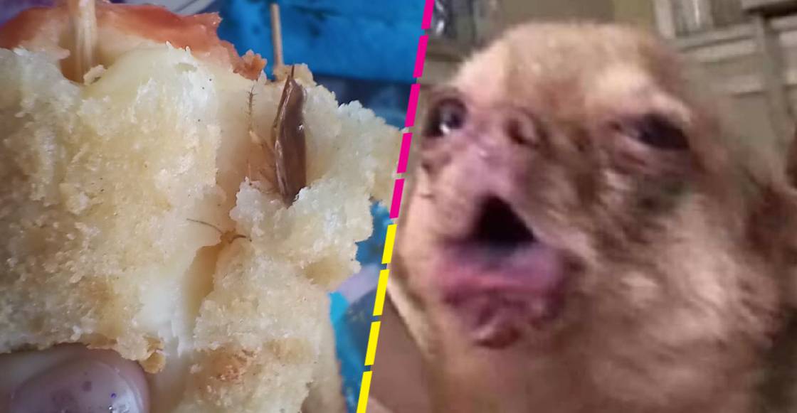 Joven encuentra una cucaracha en su comida japonesa y su caso se hace viral