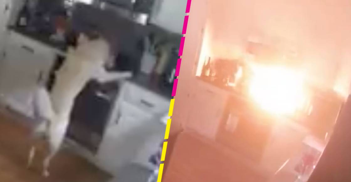 Perrito incendia su casa mientras sus dueños no estaban y se hace viral
