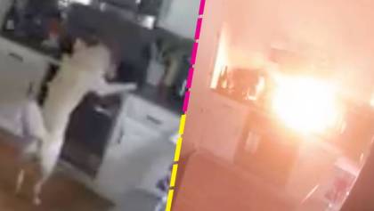 Perrito incendia su casa mientras sus dueños no estaban y se hace viral