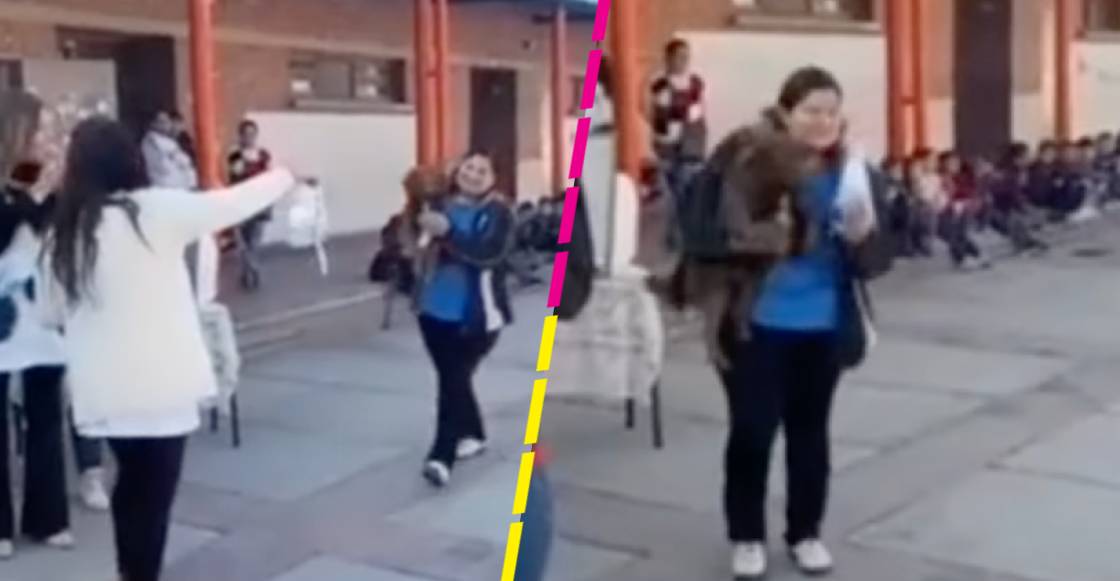 Suave reconocimiento: Perrito callejero recibe diploma por cuidar a los niños de una escuela