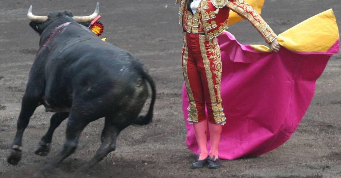 Para defender derechos de los toros, jueza otorga suspensión de corridas en Plaza México