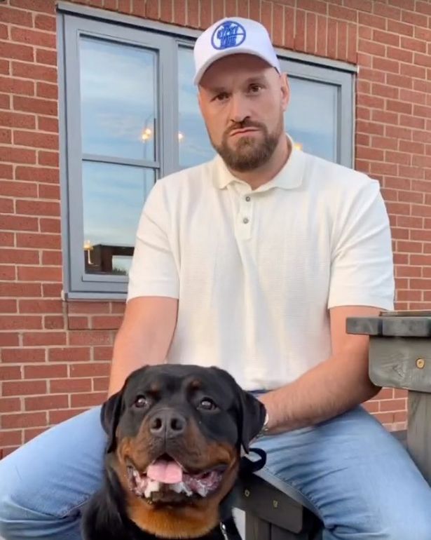 Tyson Fury con su perro de Elite Protection Dogs