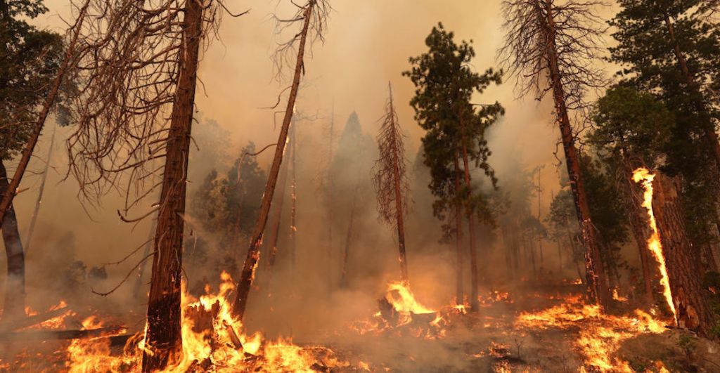 Yosemite-incendios-forestales