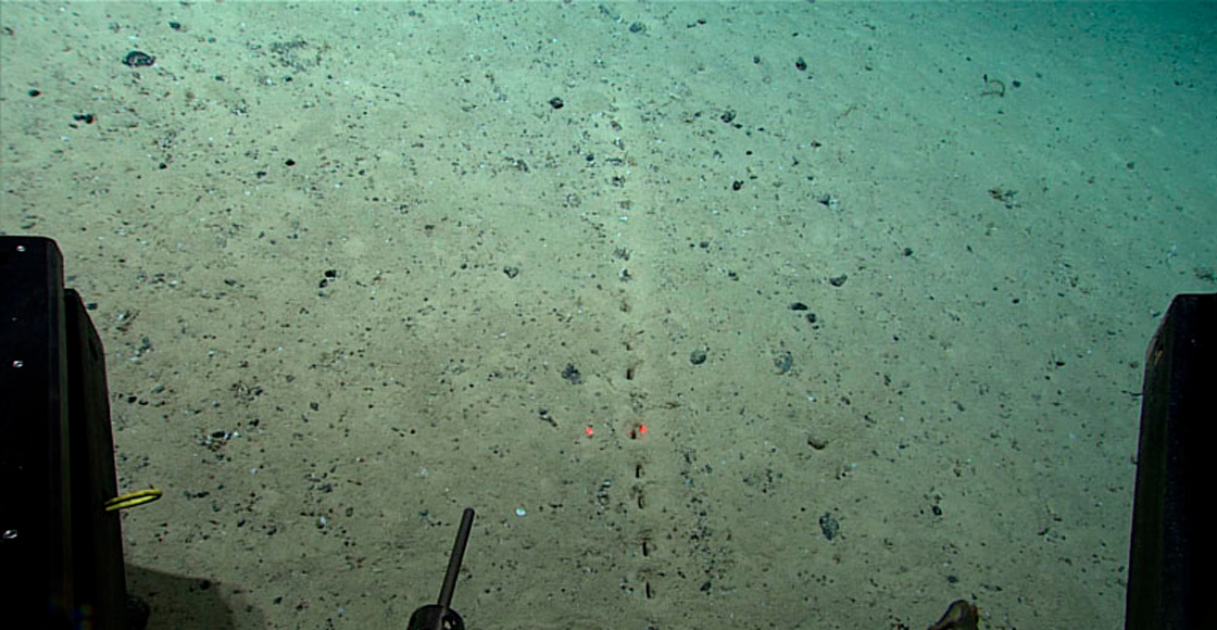 agujeros-fondo-mar-estados-unidos