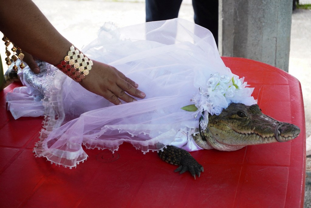 lcalde de Oaxaca se casa con ‘Princesa Lagarto’ como parte de una tradición