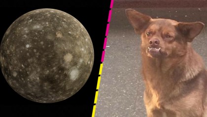 Feo pero galáctico: ¿Por qué Calisto se considera la luna más 'fea' del sistema solar?