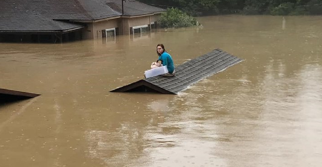 Joven salvó a su perro de las inundaciones en Kentucky nadando hasta un techo