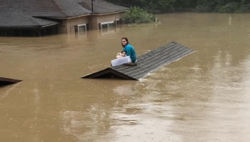 Joven salvó a su perro de las inundaciones en Kentucky nadando hasta un techo