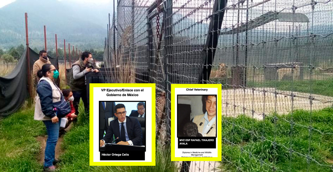 funcionarios-cdmx-fundacion-jaguar