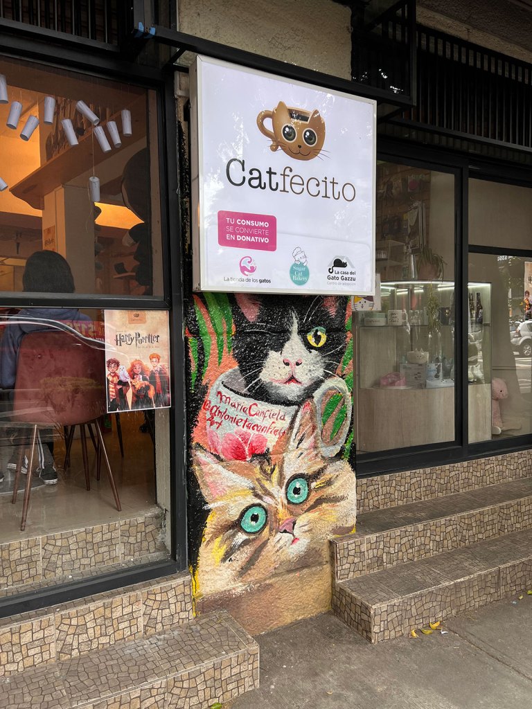Catfecito: Restaurante en CDMX para amantes de los gatos