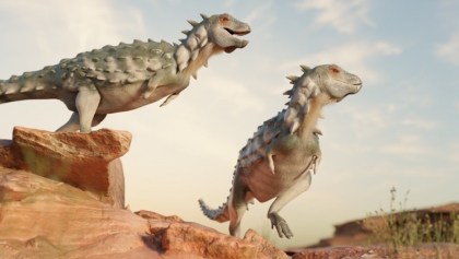 dinosaurio-armadura-argentina