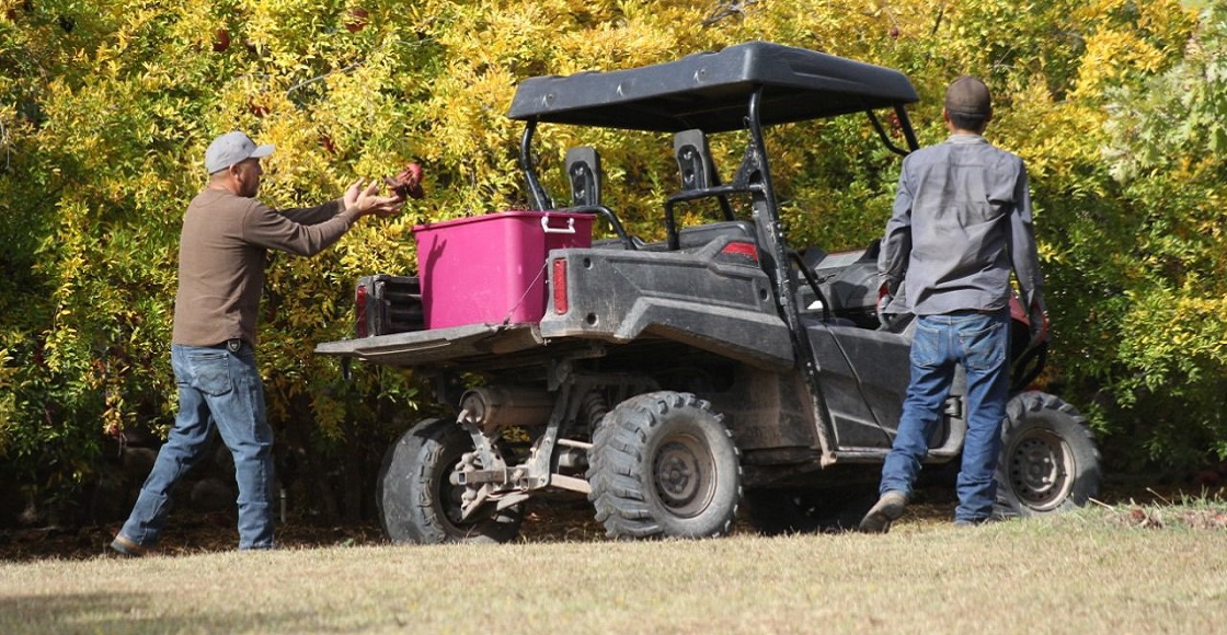 BAVISPE, SONORA, 06NOVIEMBRE2019.- En el Rancho La Morita viven cientos de integrantes de la Familia LeBarón, una comunidad de origen mormón y dedicada a la agricultura, los cuales están asentados también en Chihuhuahua y Arizona en Estados Unidos. La comunidad se encuentra asimilando el asesinato de varios miembros de su comunidad, entre ellos varios menores de edad, los hechos ocurrieron cuando una caravana de varias camionetas tripulada sólo por mujeres en compañía de sus hijos fueron agredidos a balazos por un comando armado, cuando se dirigían a Chihuahua.
