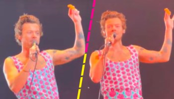 Le aventaron nuggets de pollo a Harry Styles en un show y así reaccionó
