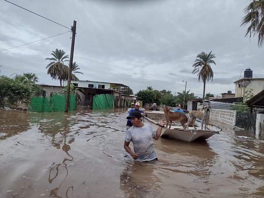 Las impactantes fotos y videos que han dejado las inundaciones en Sonora