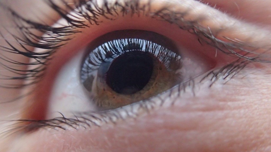 ojo-cornea-estudio
