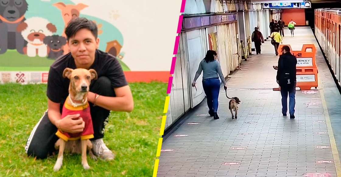 perrito-metro-cdmx