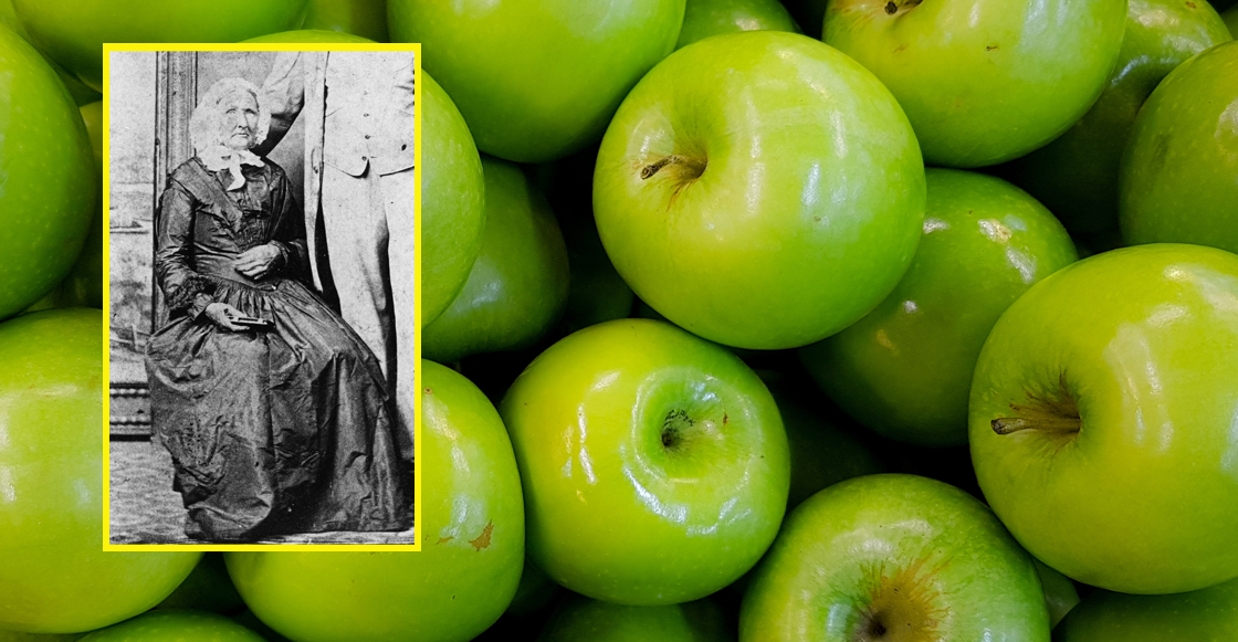 por-que-granny-smith-abuelita-quien-fue-manzana-verde-invento-sin-querer-australia