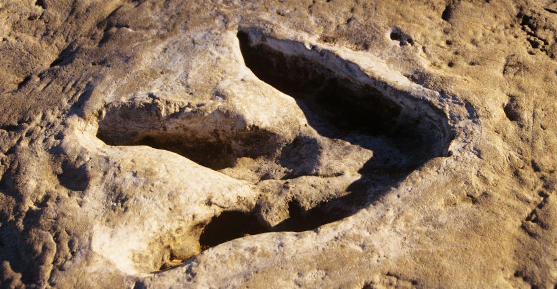 sequia-revela-huellas-dinosaurios-texas