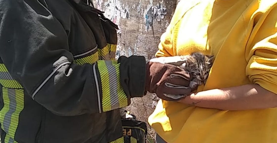 bomberos-rescataron-gatito-atrapado-cisterna