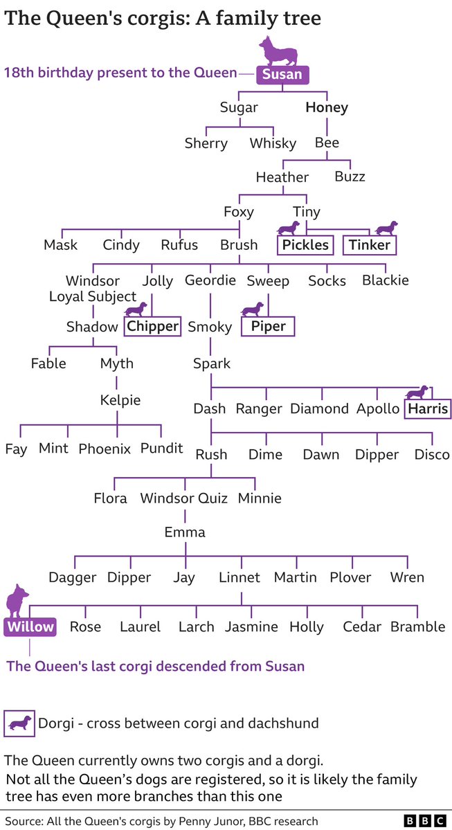 Árbol genealógico de los corgis de la Reina Isabel II