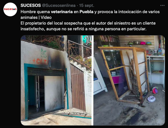 Sujeto provoca incendio en una veterinaria de Puebla; 8 mascotas murieron