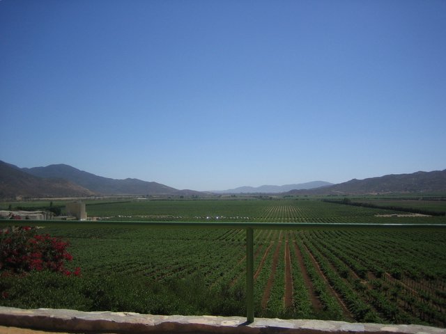 valle-guadalupe-mexico-baja-california