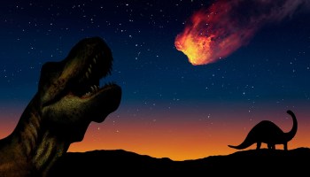 dinosaurios-extincion-asteroide
