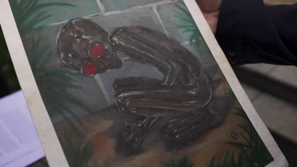 Una ilustración del extraterrestre que supuestamente vieron en Brasil