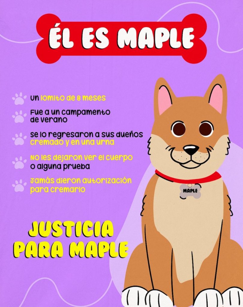 justicia-para-maple
