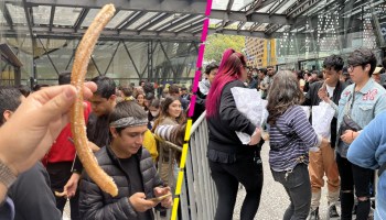 ¡Qué buena onda! Lorde manda churros a sus fans que hacen fila en el Pepsi Center WTC