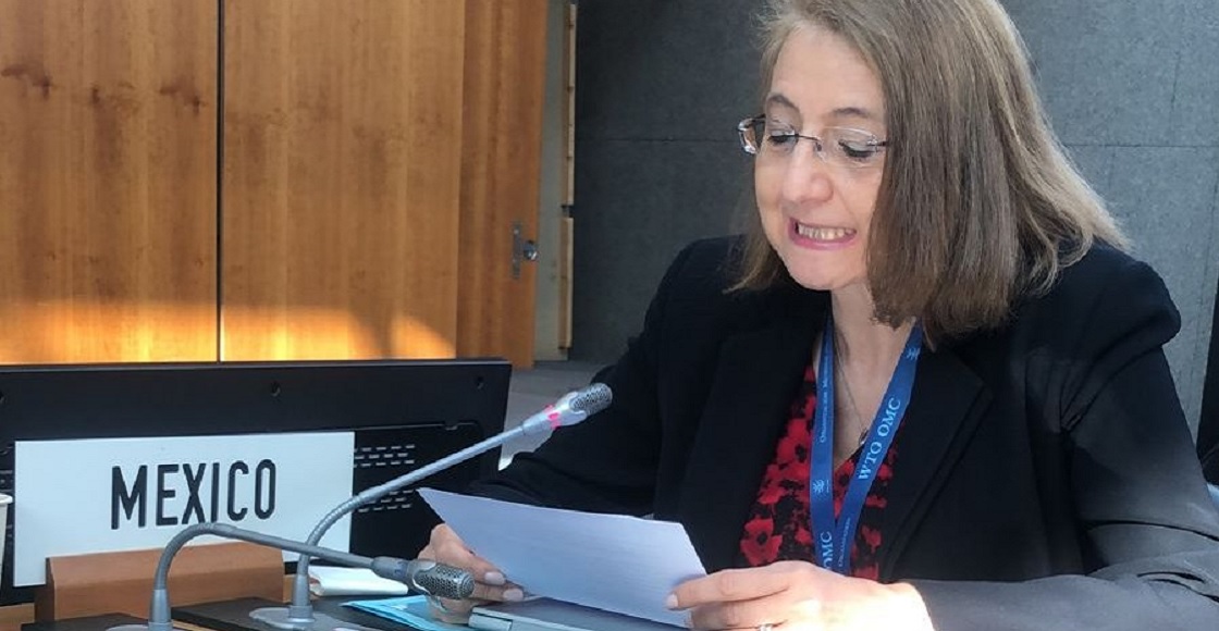 luz maria de la Mora t mec