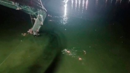 Video: Puente colgante en la India se derrumba y deja varios muertos y heridos