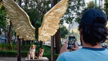 Las alas mexicanas: El monumento en Dubái que todos aman