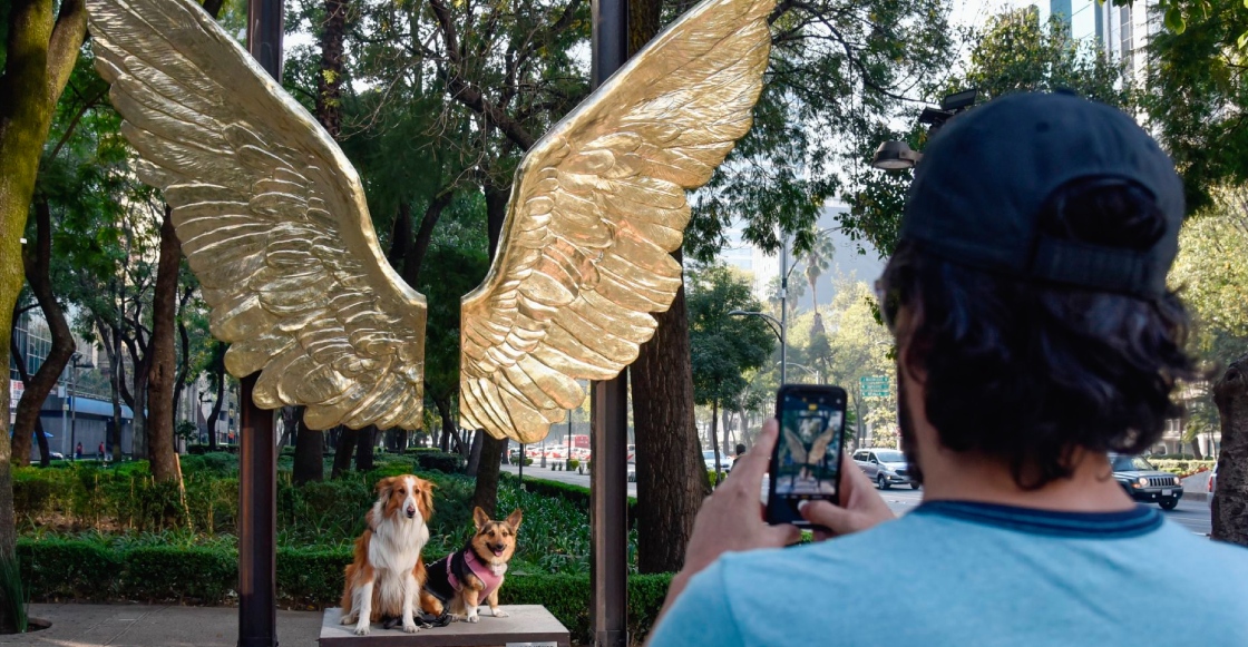 Las alas mexicanas: El monumento en Dubái que todos aman