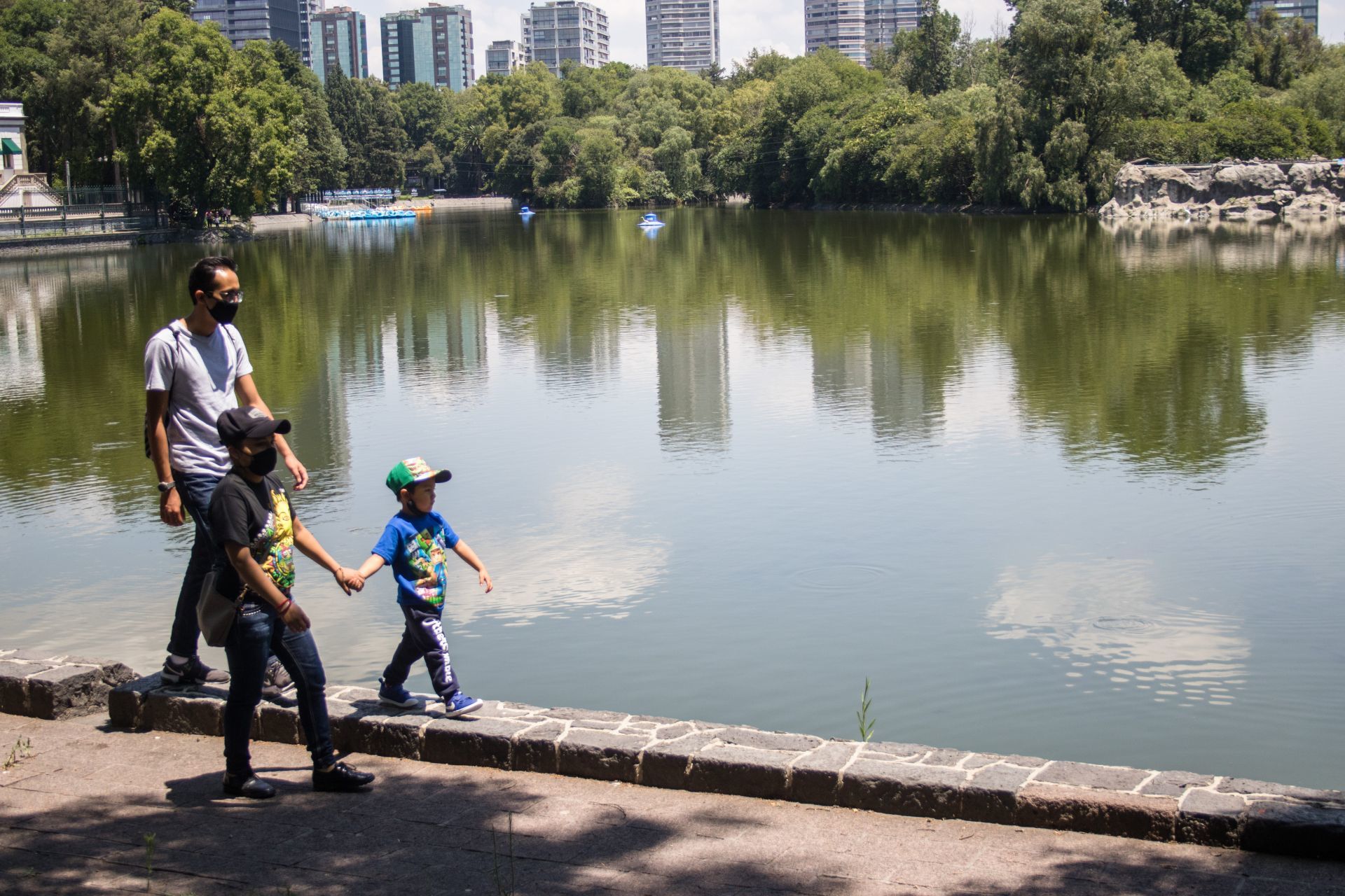 Reportan la muerte de decenas de peces en el lago de Chapultepec; explican las razones