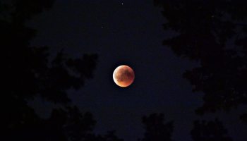 eclipse-lunar-lluvias-estrellas-noviembre-2022