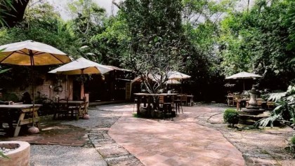 La Mano: El jardín cultural en Coyoacán que sí o sí deben conocer